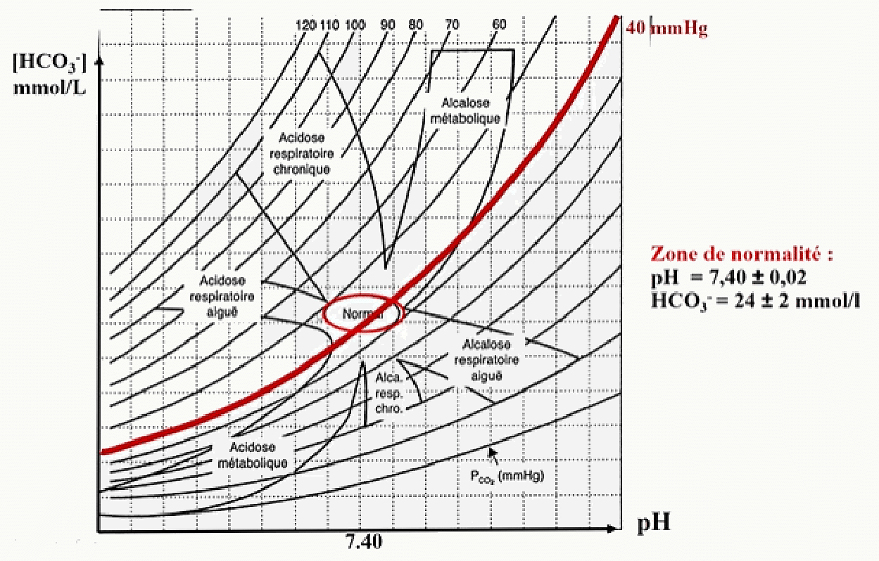 Zone de normalité (pH 7,40 ± 0,02 ; HCO₃⁻ 24 ± 2 mmol/L) sur le diagramme de Davenport.