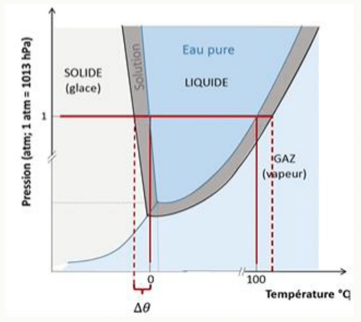 Diagramme de phase de l'eau montrant l'abaissement cryoscopique Δθ dû à la présence d'un soluté.