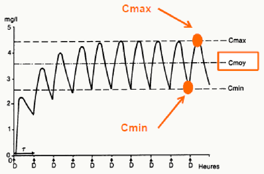 Doses répétées Cmax Cmin Cmoy fluctuation état équilibre