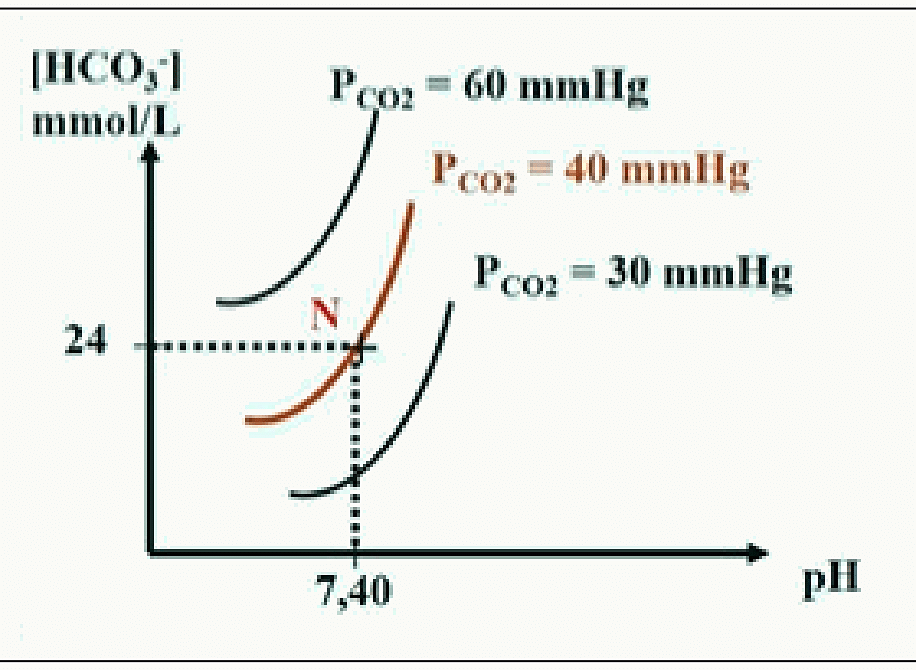 Isobares PCO₂ (30, 40, 60 mmHg) dans le diagramme de Davenport [HCO₃⁻] en fonction du pH.