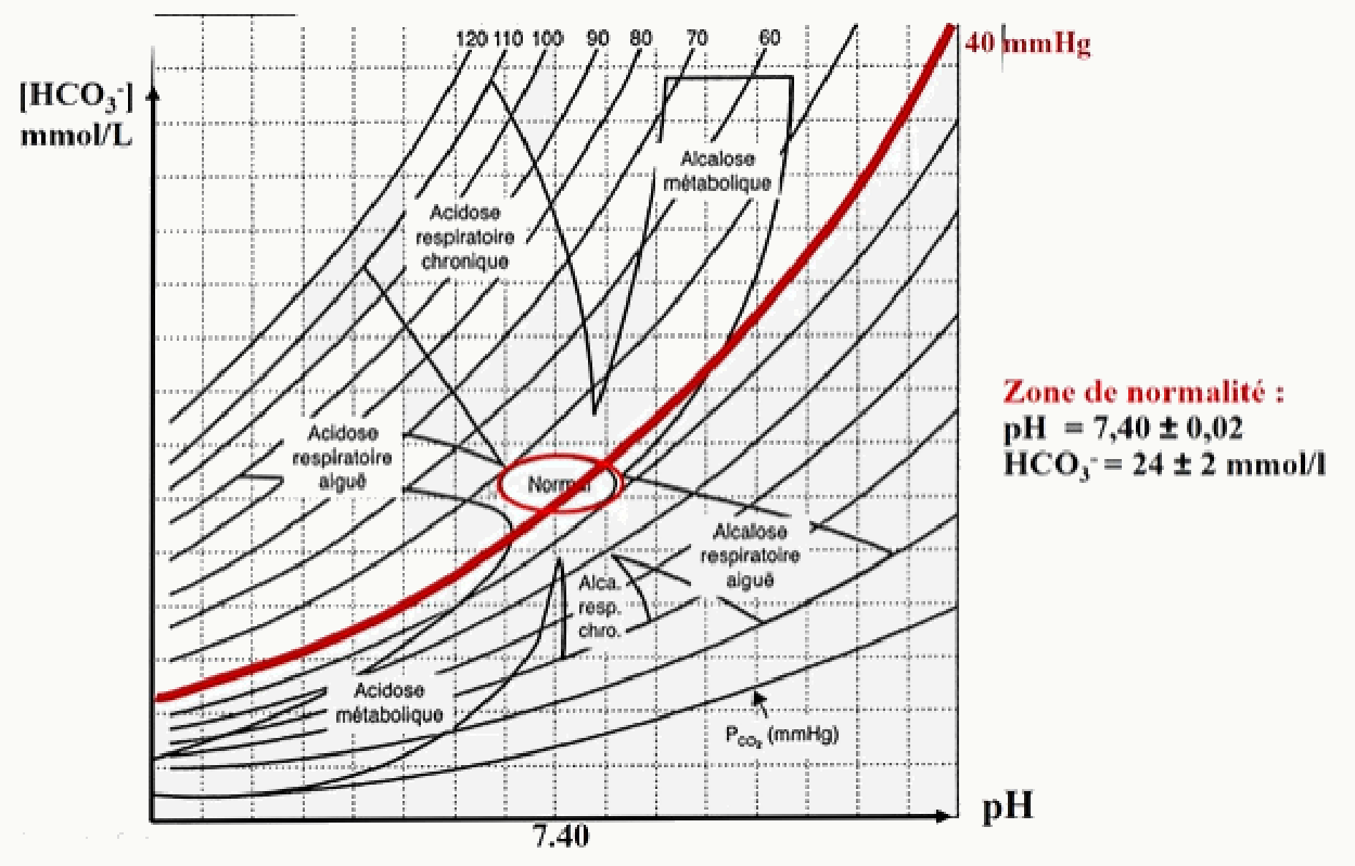 Diagramme de Davenport avec droite tampon passant par le point normal, zone normale du pH sanguin entre 7,38 et 7,42, HCO3− entre 22 et 26 mmol/L