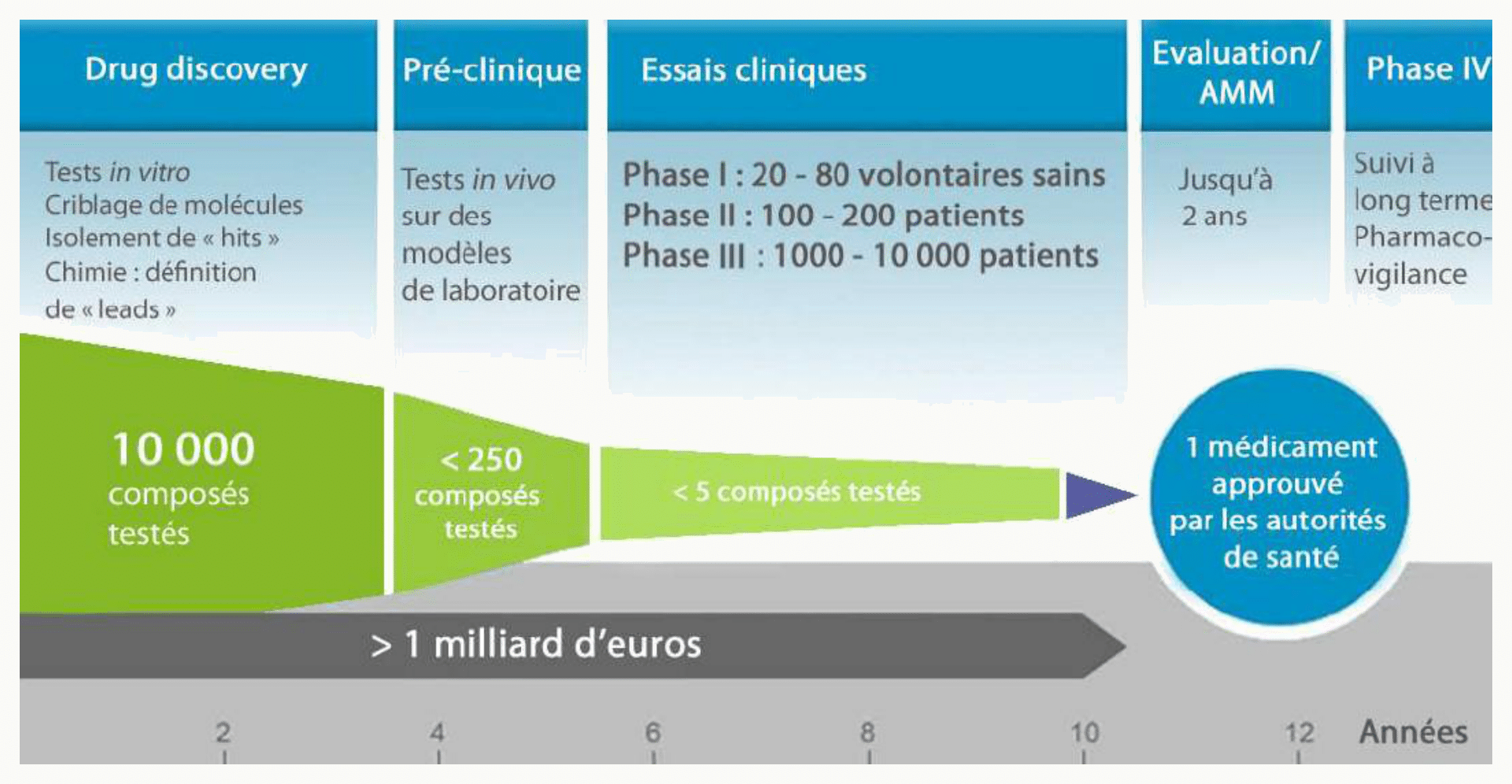 Entonnoir drug discovery de 10 000 molécules à un médicament approuvé