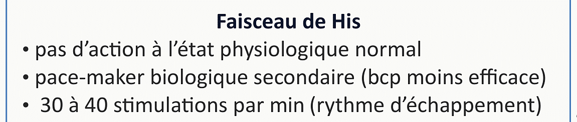 Caractéristiques du faisceau de His : pas d'activité en conditions physiologiques, pacemaker secondaire à 30-40 stimulations par minute.