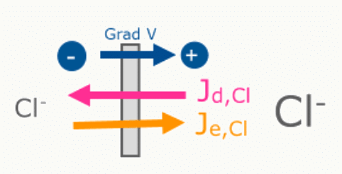 Flux diffusif J_d,Cl et flux électrique J_e,Cl opposés pour l'ion chlorure sous l'effet d'un gradient de tension Grad V.