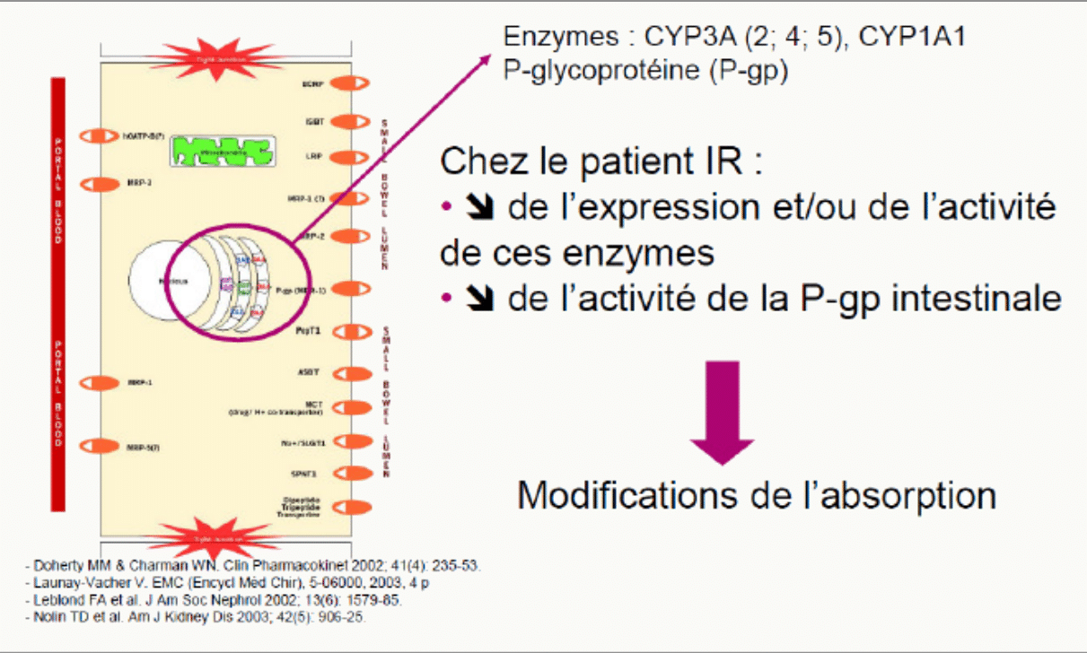 Interactions CYP3A P-gp intestinale modifiant absorption