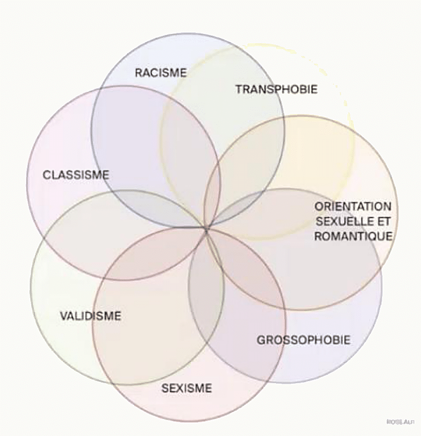 Diagramme représentant l'intersection de plusieurs axes d'oppression selon Crenshaw : genre, race/origine, classe sociale, handicap, orientation sexuelle, corpulence