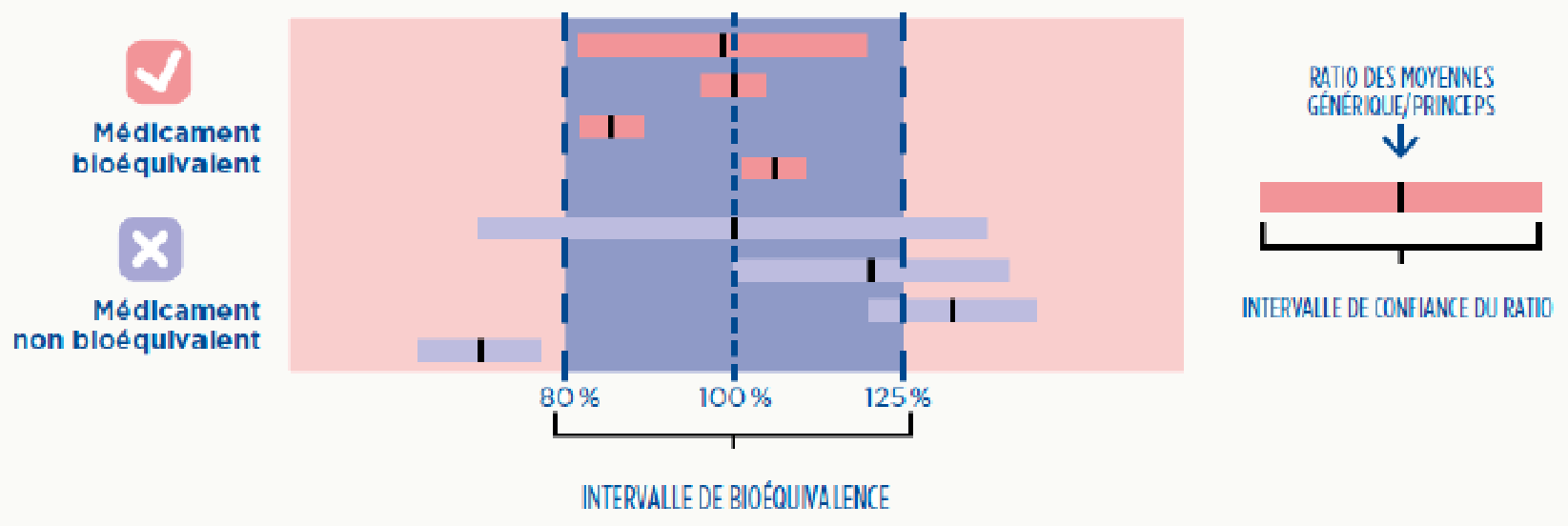 Intervalle de bioéquivalence 80-125 % avec IC 90 %