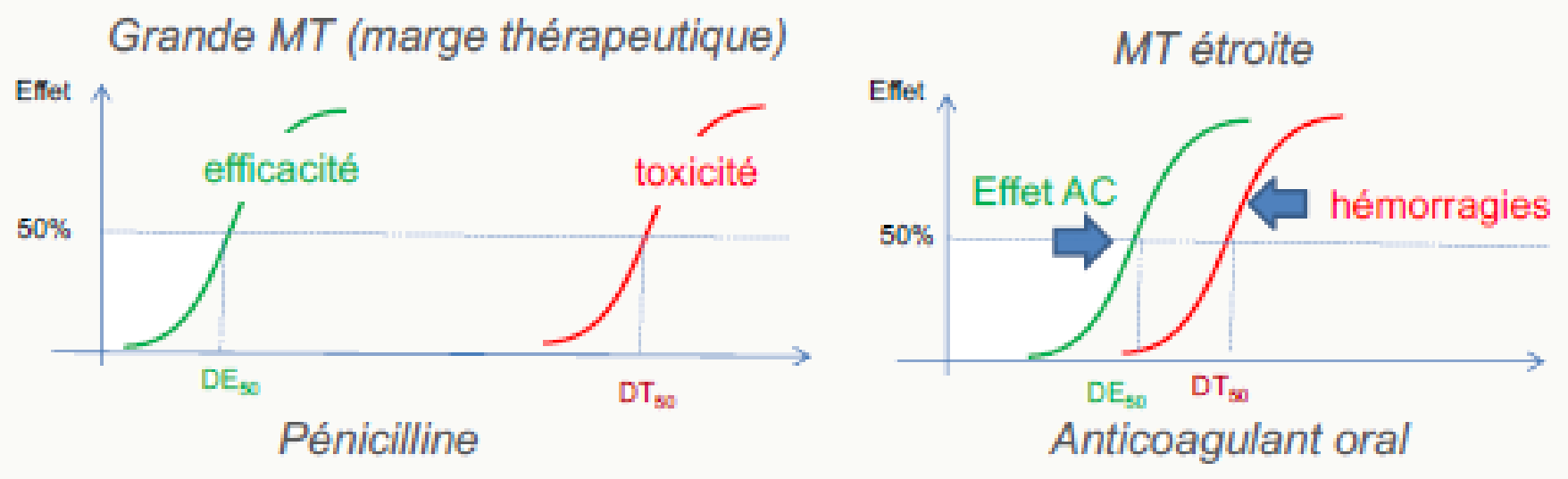 Marge thérapeutique large pénicilline vs étroite anticoagulant