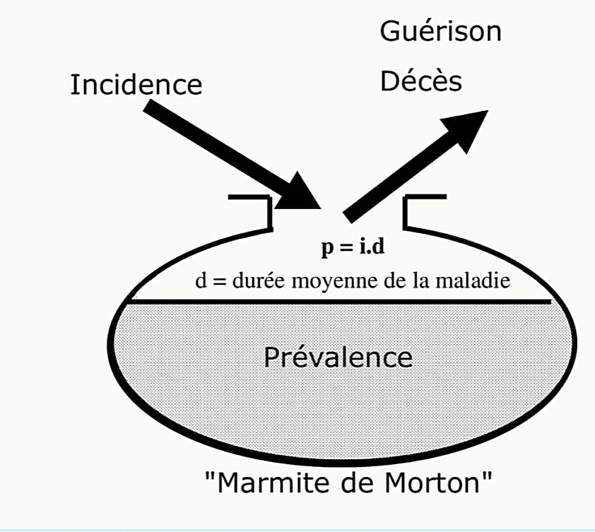 Schéma de la marmite de Morton illustrant le lien incidence-prévalence : entrées par incidence, sorties par guérison ou décès, prévalence = incidence × durée moyenne