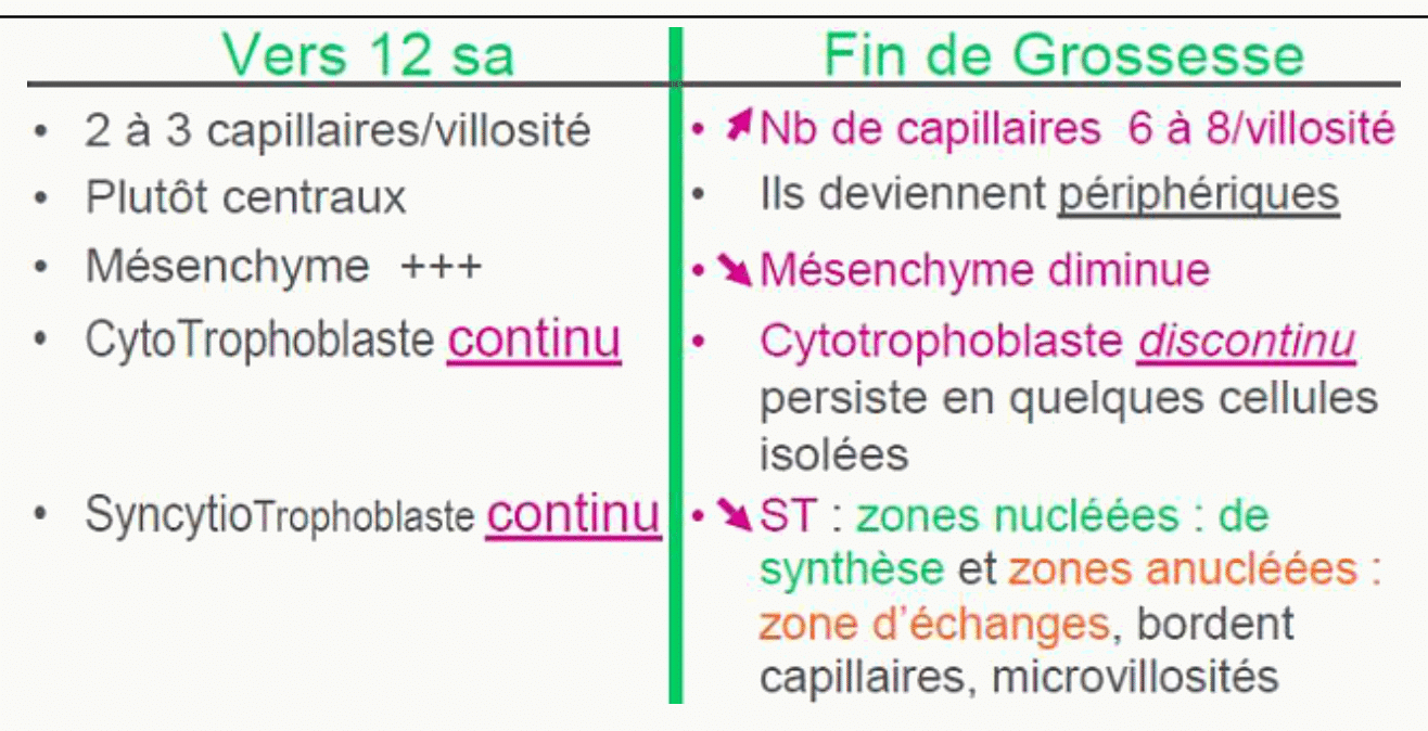 Maturation des villosités de douze semaines au terme