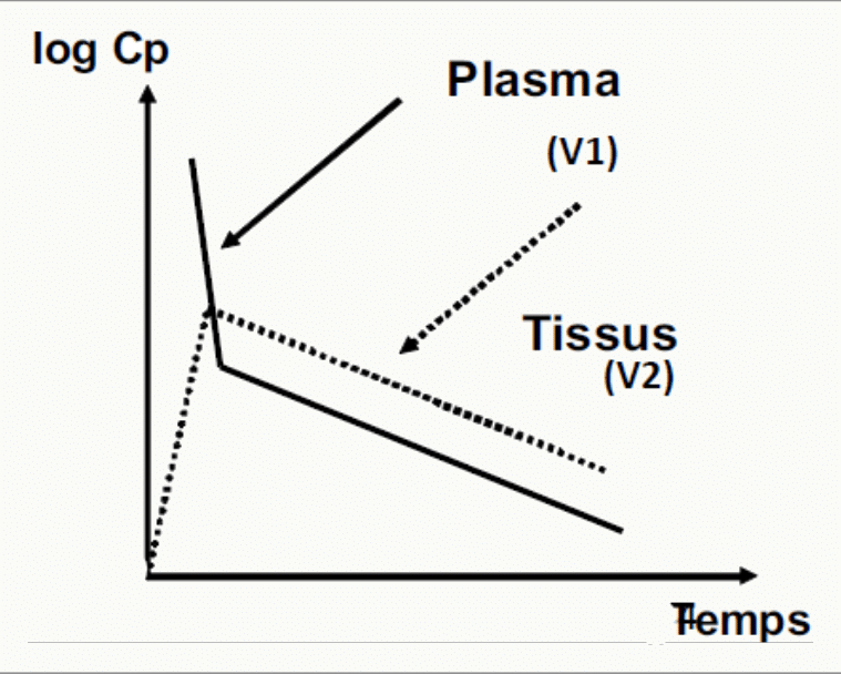 Modèle bi-compartimental plasma V1 tissus V2 échanges