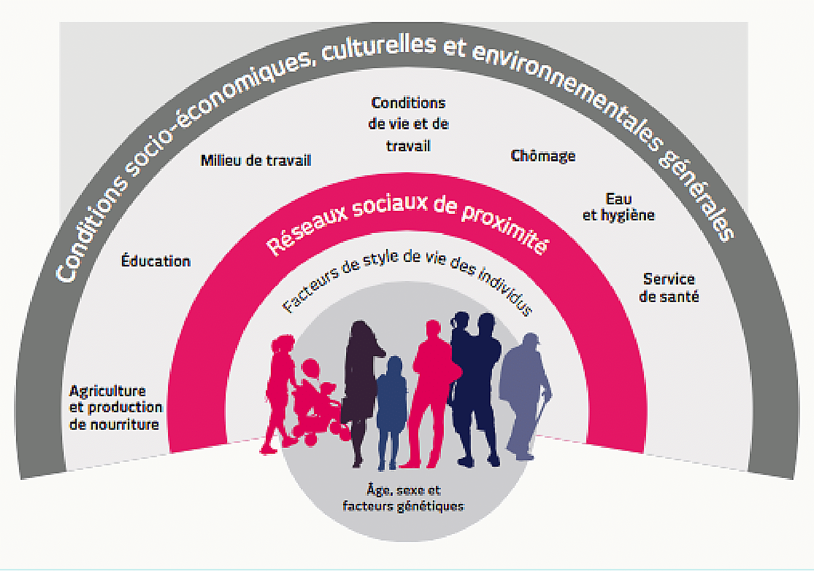 Modèle en arc-en-ciel de Dahlgren et Whitehead (1992) : silhouettes humaines au centre, entourées par les facteurs de style de vie, les réseaux sociaux, les conditions de vie/travail, puis les conditions socio-économiques générales.