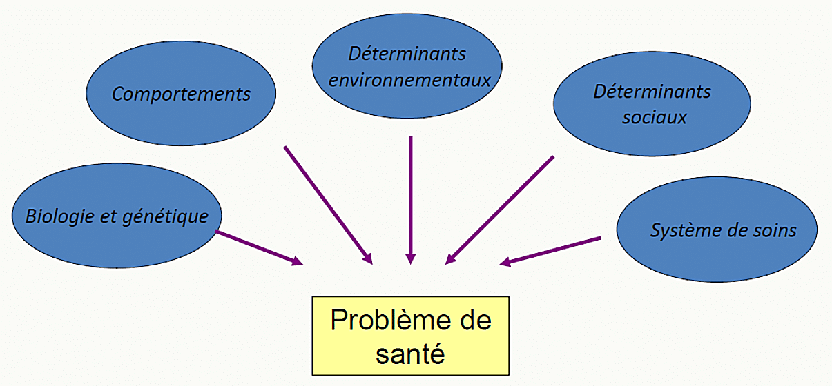 Modèle explicatif des cinq déterminants de la santé influençant le problème de santé : comportements, déterminants environnementaux, déterminants sociaux, biologie et génétique, système de soins