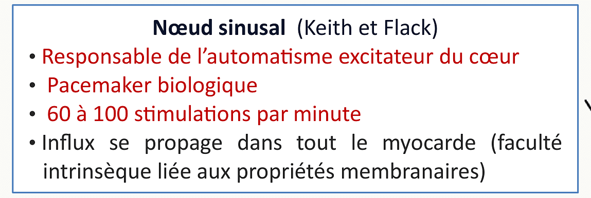 Rôle du nœud sinusal de Keith et Flack : pacemaker biologique, 60 à 100 stimulations par minute.