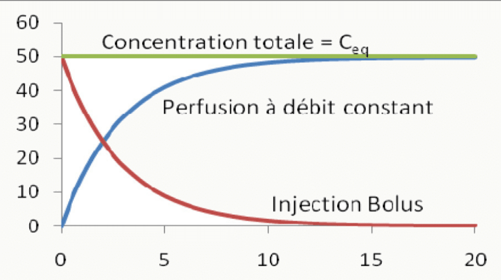 Perfusion débit constant vs bolus concentration totale et pic