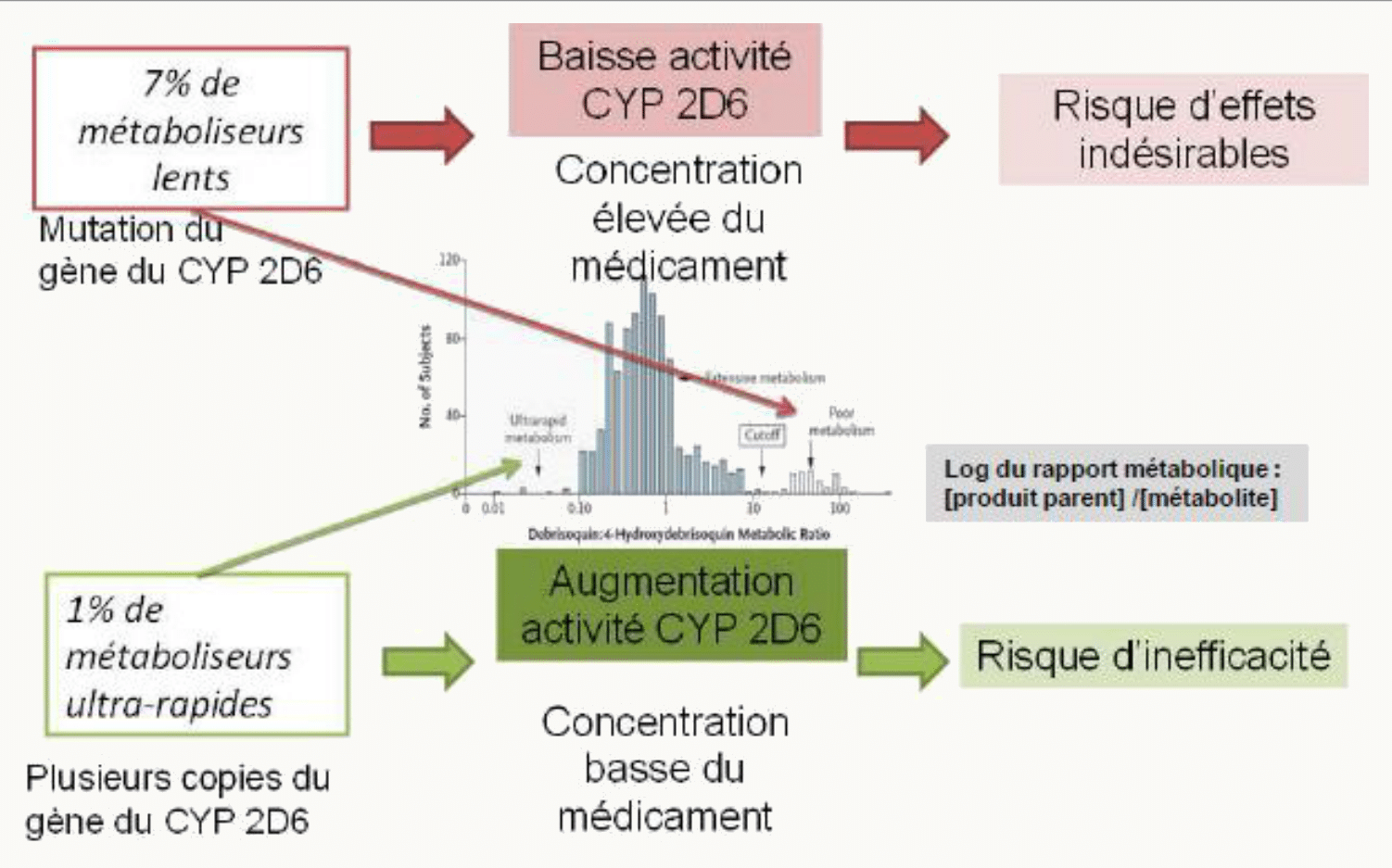 Conséquences cliniques CYP2D6 concentration élevée ou activité augmentée