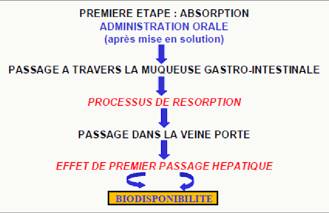 Première étape absorption voie orale, muqueuse GI, veine porte, PPH