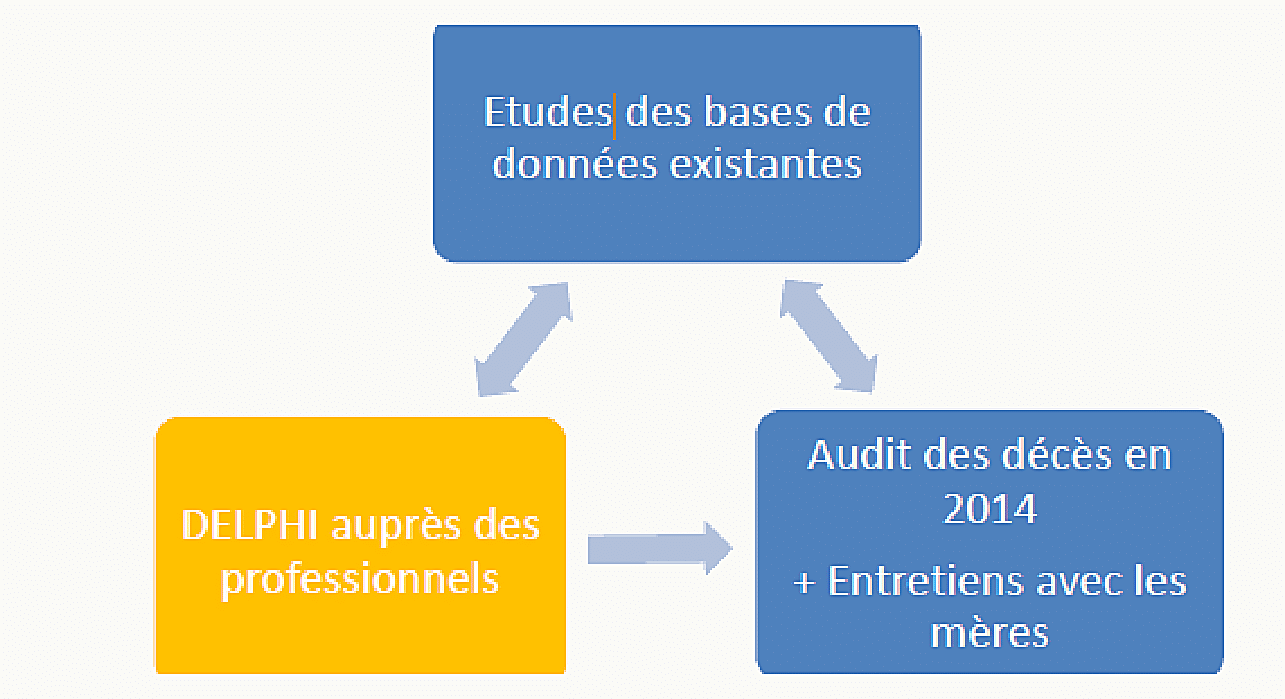 Schéma triangulaire des trois volets de la recherche RéMI : étude des bases de données existantes, DELPHI auprès des professionnels de santé, audit des décès de 2014 avec entretiens auprès des mères.