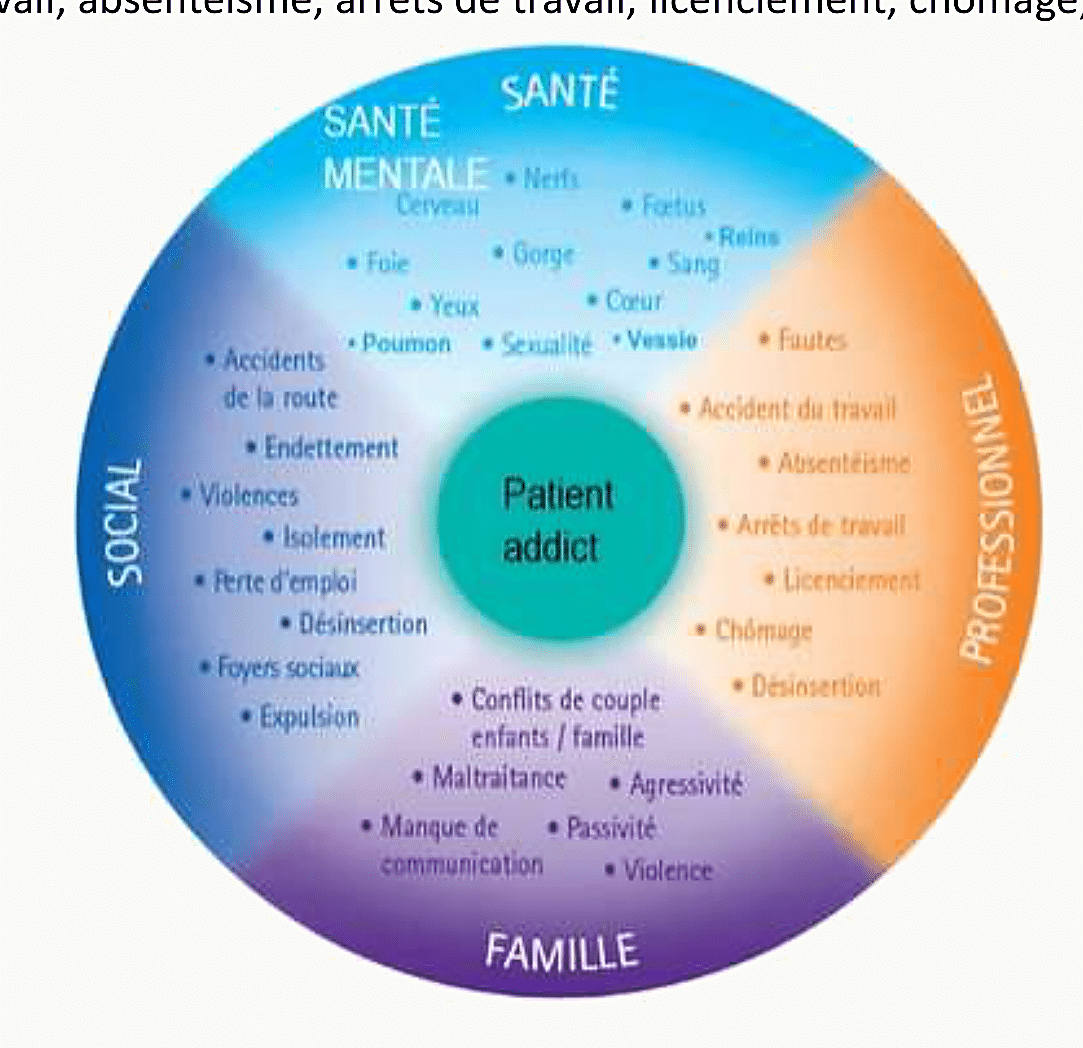 Roue à quatre secteurs (santé mentale, social, famille, professionnel) autour du patient addict, listant les retentissements : accidents de la route, endettement, violences, isolement, perte d'emploi, désinsertion, conflits familiaux, maltraitance, absentéisme, arrêts de travail, licenciement