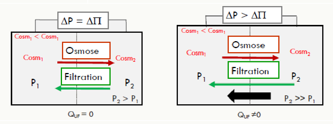 Schéma simplifié avec pressions P1 et P2 de part et d'autre de la membrane capillaire