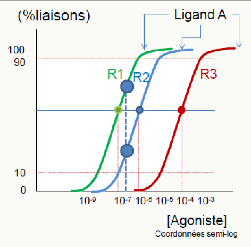 Trois sigmoïdes R1/R2/R3 avec EC50 décalées d'un facteur 10