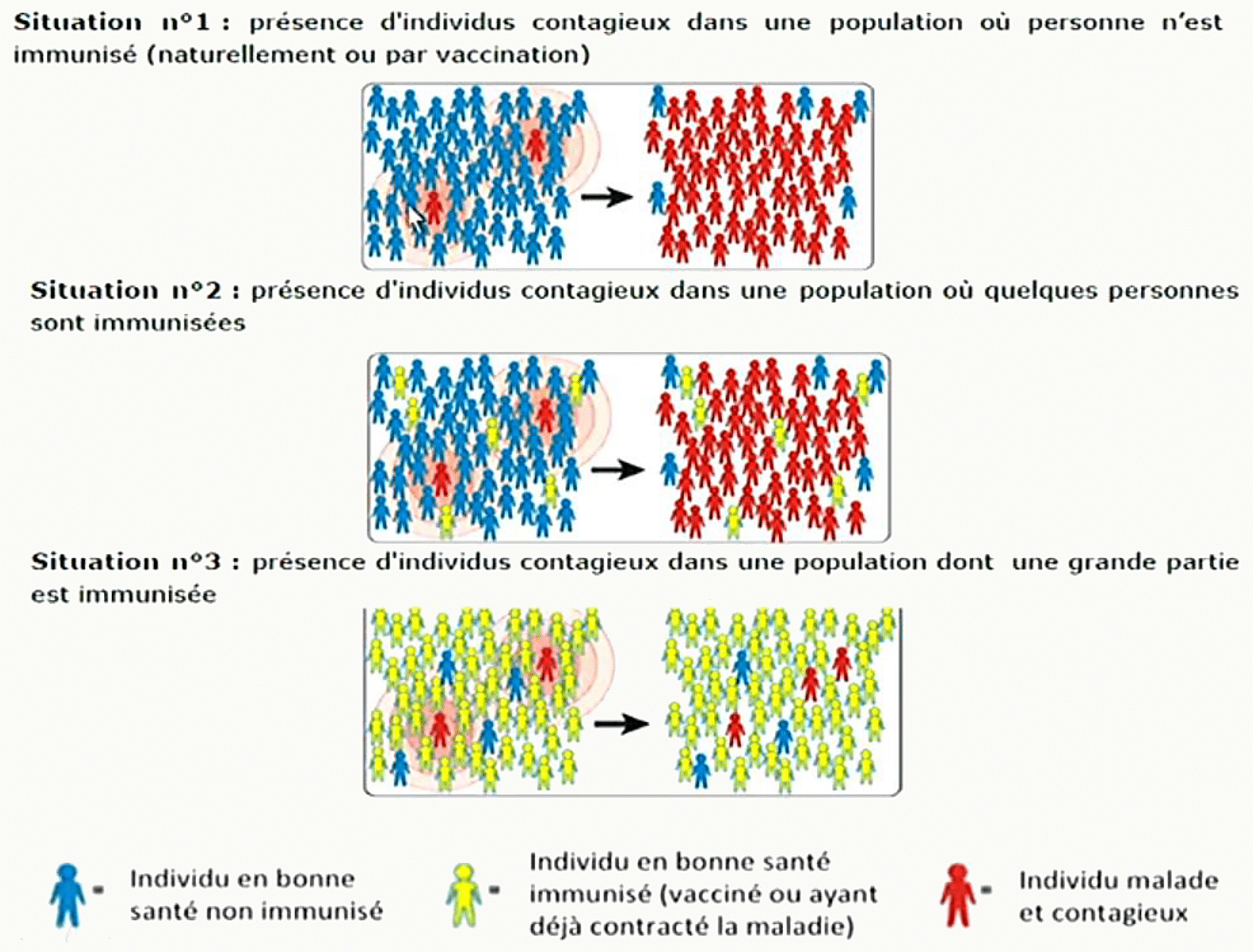 Trois situations d'immunité de groupe dans une population : personne d'immunisé (situation 1), quelques personnes immunisées (2), grande partie immunisée (3), avec figurines individu sain non immunisé, immunisé et malade contagieux