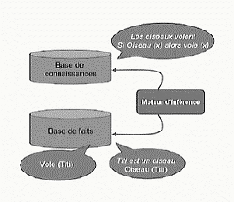 Schéma d'un système expert médical à trois modules — base de connaissances (règles logiques), moteur d'inférence, base de faits, exemple Titi/Oiseau/Vole