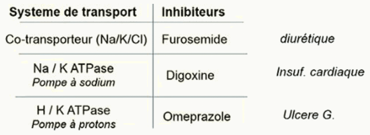 Tableau transporteurs cibles thérapeutiques digoxine oméprazole