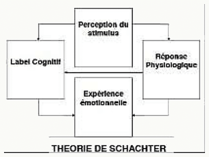 Schéma à quatre cases reliées : Perception du stimulus, Label cognitif, Réponse physiologique, Expérience émotionnelle. Titre « Théorie de Schachter »