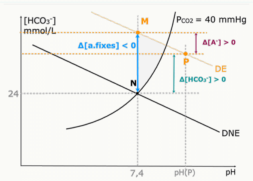 Variation Δ[a.fixes] négative (défaut d'acides fixes) sur le diagramme de Davenport.